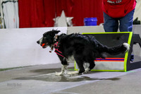 Race 47 K9 Wrecking Ballz PU vs Ruff Position UU