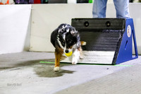 Race 53 Ruff Position Double U vs Ulti-Mutts