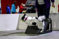 Race 60 Rough Position Double U vs Milwaukee Dogs Great Balls of Fur
