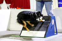 Race 69 Milwaukee Dogs Great Balls of Fur vs Ulti-Mutts