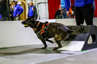 Race 73 Ruff Position UU vs K9 Wrecking Ballz PU