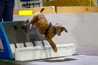 Race 78 Preflight OneVision Dog 2