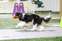 Race 80 Ruff Position Iggy