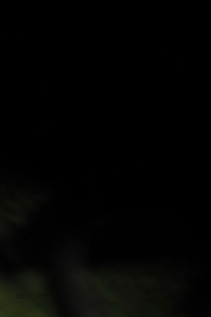 AE4I6532