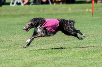 Prelim, Vera-Rainbow-3538
