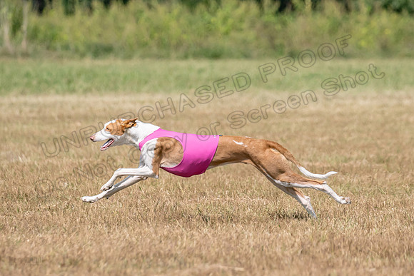 Finals Specials B1 Sketti Fable Libby-1434