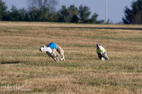 IMG_4276