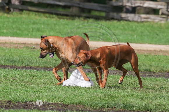 MCH78963