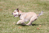 IMG_0084