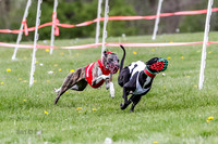 NOTRA Program 2, Race 1, Warrior Barley Flair Press-2-5