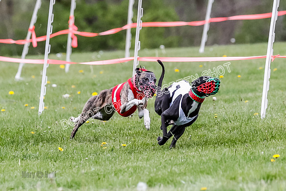 NOTRA Program 2, Race 1, Warrior Barley Flair Press-2-5