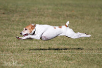 IMG_1406-Edit