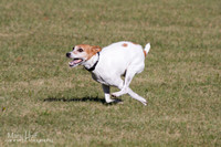 IMG_1413