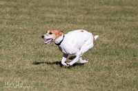 IMG_1415