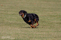 IMG_1455