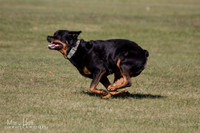 IMG_1462