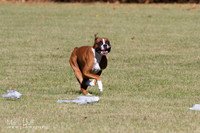 IMG_1607