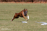 IMG_1612