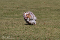 IMG_1764