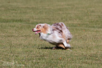 IMG_1766