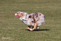 IMG_1769