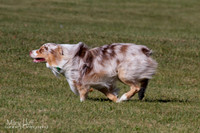 IMG_1772