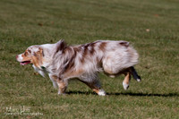 IMG_1774