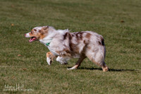 IMG_1775
