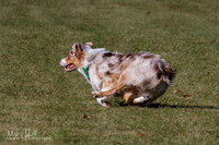 IMG_1777