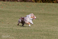 IMG_1778