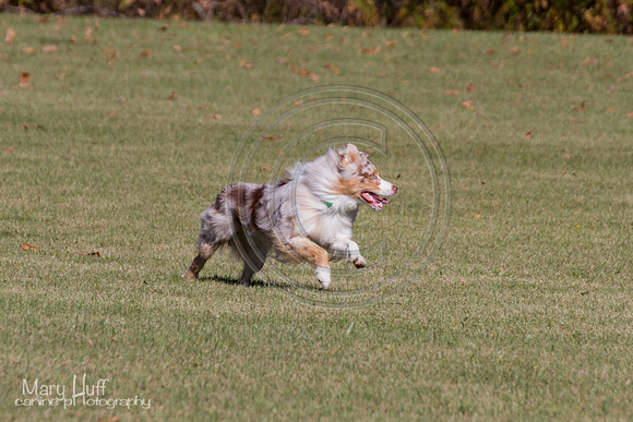 IMG_1778