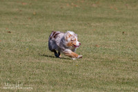 IMG_1780