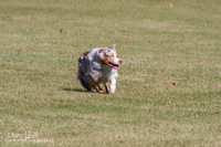 IMG_1782