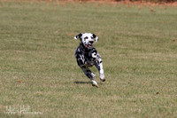 IMG_1854