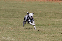 IMG_1853