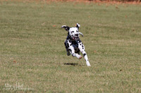 IMG_1855