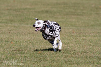 IMG_1859