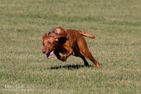 IMG_2152