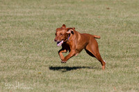 IMG_2162