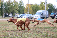 1 Prelims Fch 1 Ace Dakota Remmy-0265