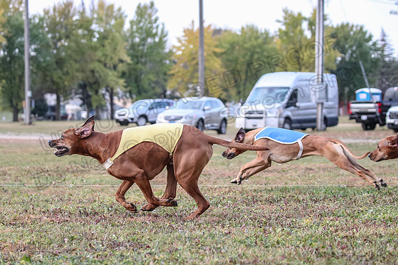 1 Prelims Fch 1 Ace Dakota Remmy-0265