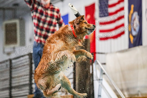 AE4I4727
