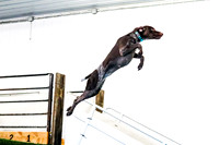 Air Retrieve Sunday