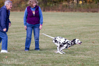 IMG_0416