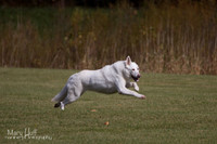 IMG_0771