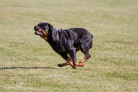 IMG_0900