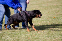 IMG_0886