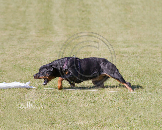 IMG_2140-Edit