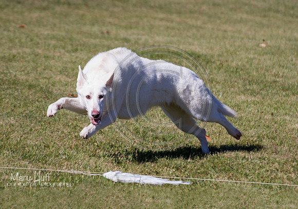 IMG_2053-Edit