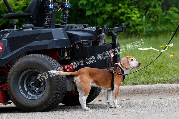 L3 Vehicle-7272